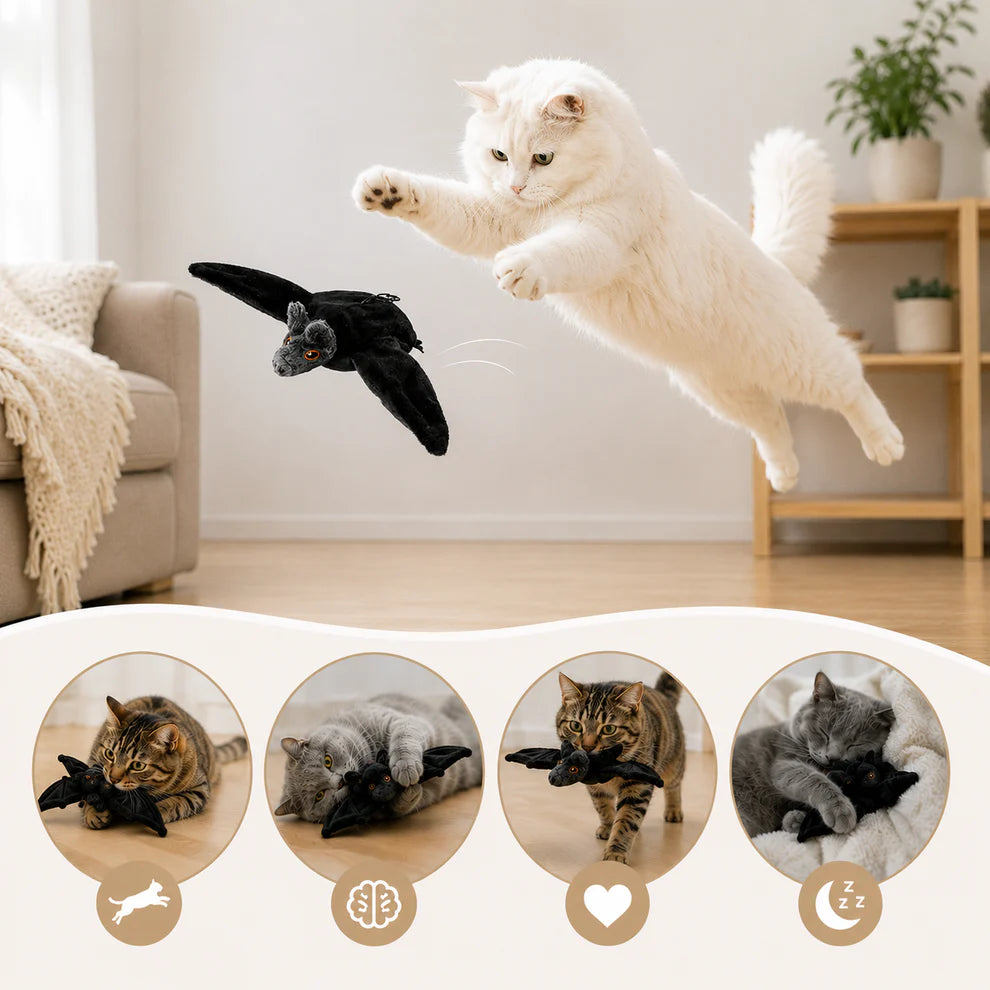 Flitter & Fang™  Flappy Bat Toy